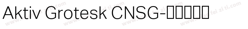 Aktiv Grotesk CNSG字体转换